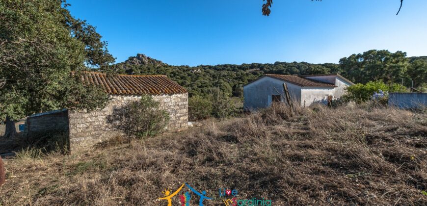 Farmhouse for sale Olbia Sardinia ref Cuncosu