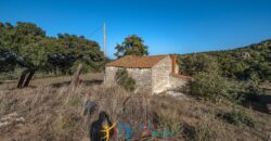 Farmhouse for sale Olbia Sardinia ref Cuncosu