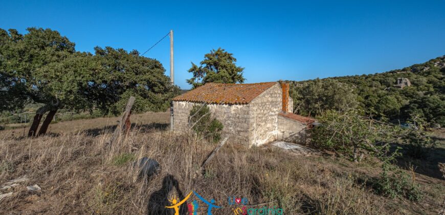 Farmhouse for sale Olbia Sardinia ref Cuncosu