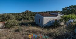 Farmhouse for sale Olbia Sardinia ref Cuncosu