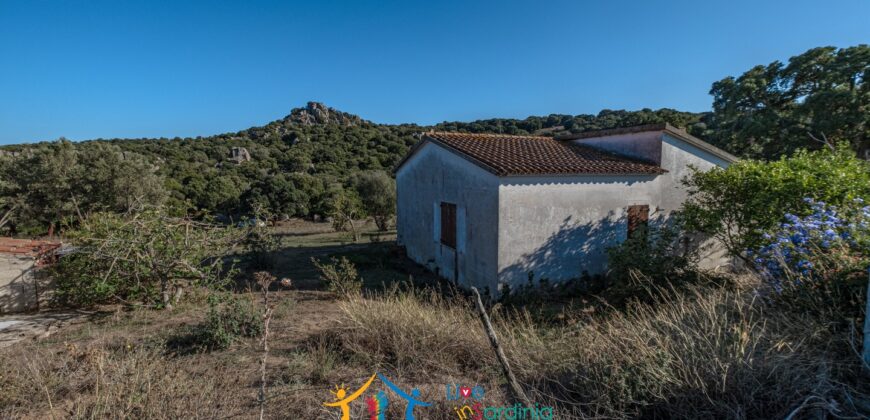 Farmhouse for sale Olbia Sardinia ref Cuncosu