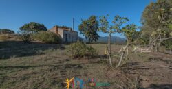 Farmhouse for sale Olbia Sardinia ref Cuncosu