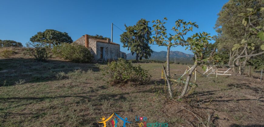 Farmhouse for sale Olbia Sardinia ref Cuncosu