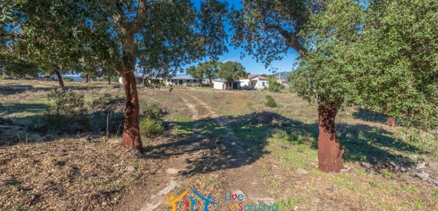 Farmhouse for sale Olbia Sardinia ref Cuncosu