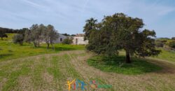 Farmhouse for sale Olbia Sardinia ref Cuncosu