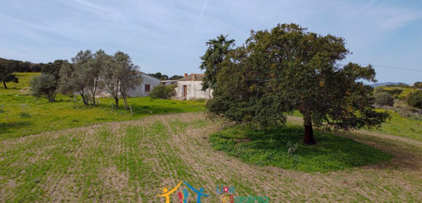 Farmhouse for sale Olbia Sardinia ref Cuncosu