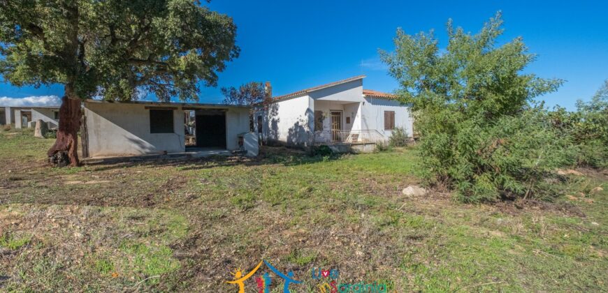 Farmhouse for sale Olbia Sardinia ref Cuncosu