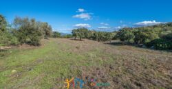 Farmhouse for sale Olbia Sardinia ref Cuncosu