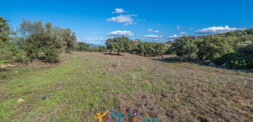 Farmhouse for sale Olbia Sardinia ref Cuncosu