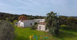 Farmhouse for sale Olbia Sardinia ref Cuncosu