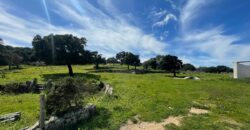 Farmhouse for sale Olbia Sardinia ref Cuncosu