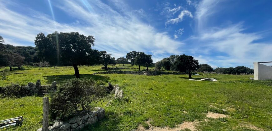 Farmhouse for sale Olbia Sardinia ref Cuncosu