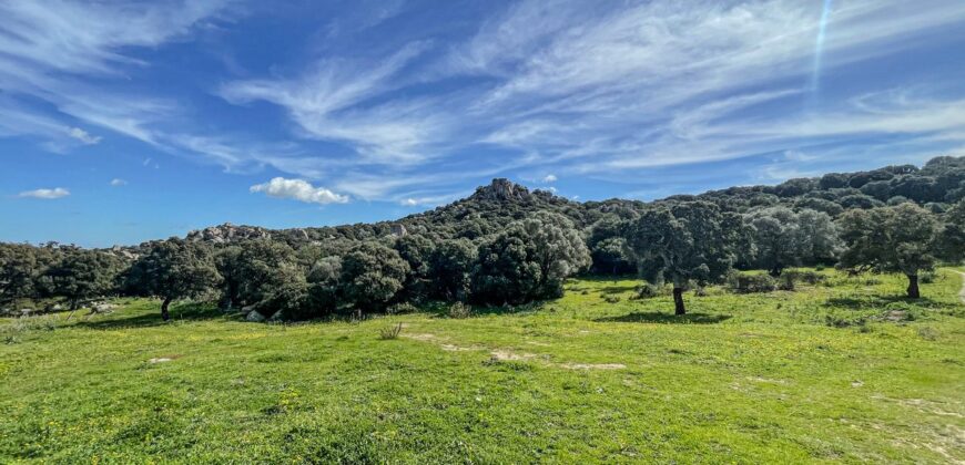 Farmhouse for sale Olbia Sardinia ref Cuncosu