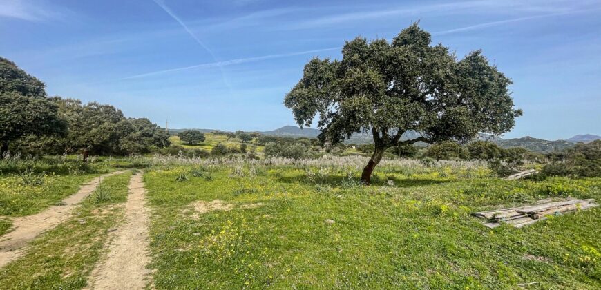 Farmhouse for sale Olbia Sardinia ref Cuncosu