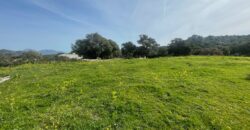 Farmhouse for sale Olbia Sardinia ref Cuncosu