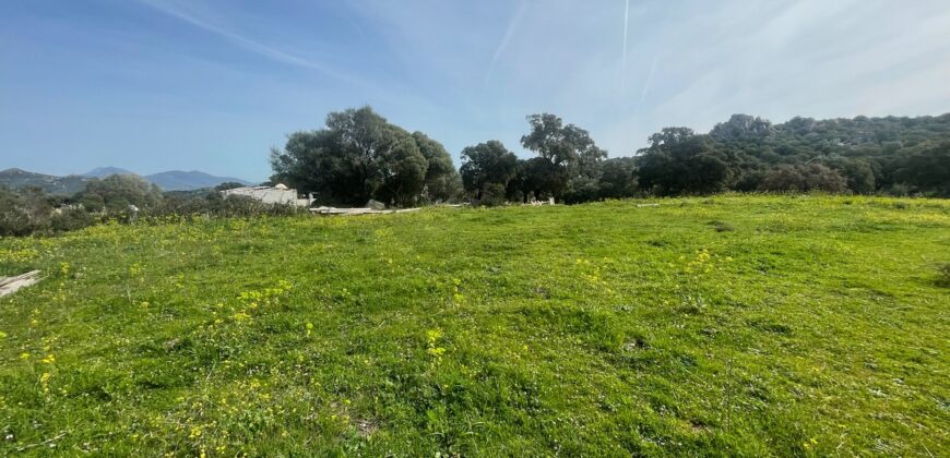 Farmhouse for sale Olbia Sardinia ref Cuncosu