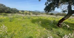 Farmhouse for sale Olbia Sardinia ref Cuncosu