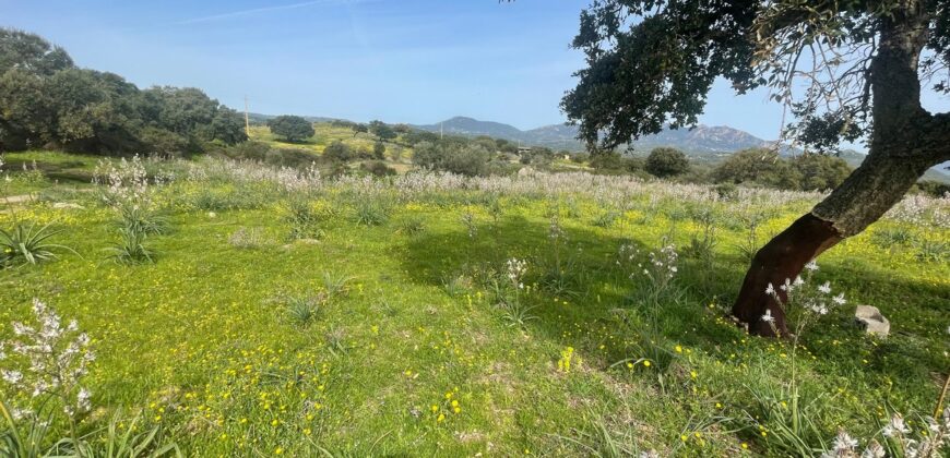 Farmhouse for sale Olbia Sardinia ref Cuncosu