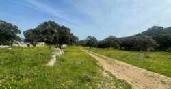 Farmhouse for sale Olbia Sardinia ref Cuncosu