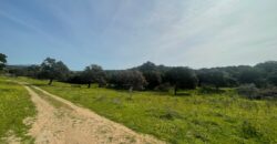 Farmhouse for sale Olbia Sardinia ref Cuncosu