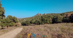 Farmhouse for sale Olbia Sardinia ref Cuncosu