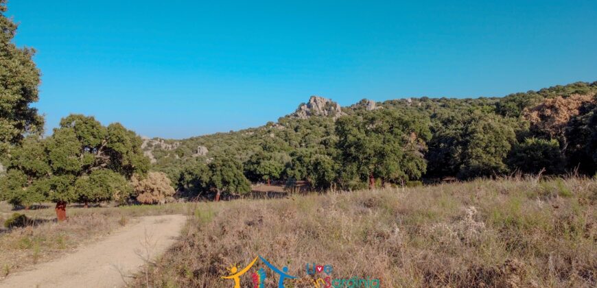 Farmhouse for sale Olbia Sardinia ref Cuncosu