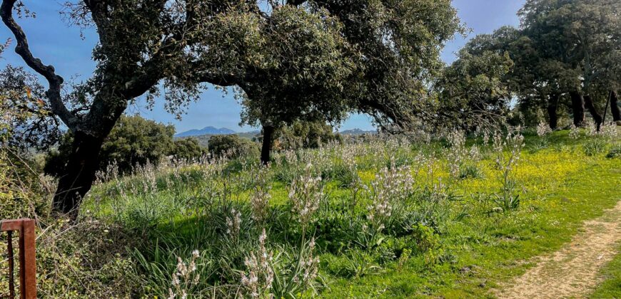 Farmhouse for sale Olbia Sardinia ref Cuncosu