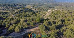 Farmhouse for sale Olbia Sardinia ref Cuncosu