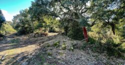 Farmhouse for sale Olbia Sardinia ref Cuncosu