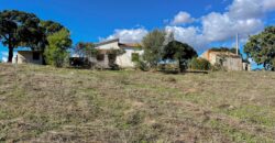 Farmhouse for sale Olbia Sardinia ref Cuncosu