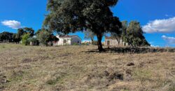 Farmhouse for sale Olbia Sardinia ref Cuncosu