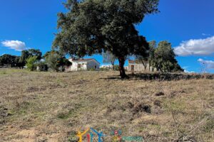 Farmhouse for sale Olbia Sardinia ref Cuncosu