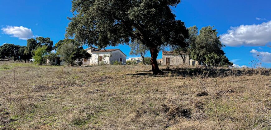 Farmhouse for sale Olbia Sardinia ref Cuncosu