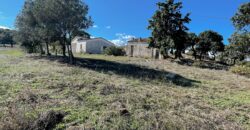 Farmhouse for sale Olbia Sardinia ref Cuncosu