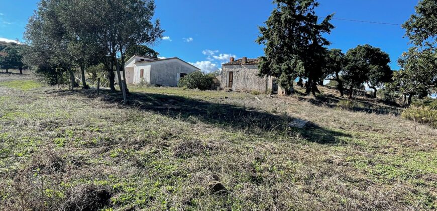 Farmhouse for sale Olbia Sardinia ref Cuncosu