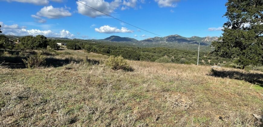 Farmhouse for sale Olbia Sardinia ref Cuncosu