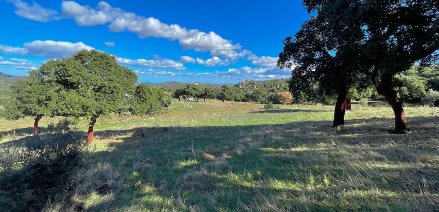 Farmhouse for sale Olbia Sardinia ref Cuncosu