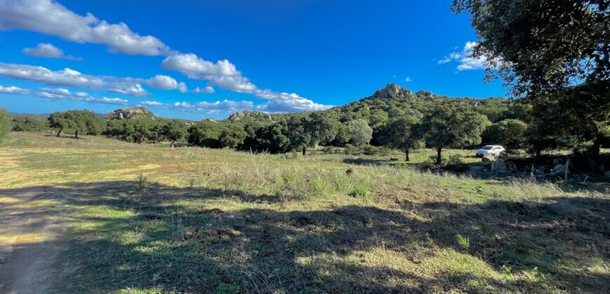 Farmhouse for sale Olbia Sardinia ref Cuncosu