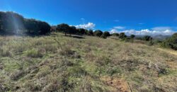 Farmhouse for sale Olbia Sardinia ref Cuncosu