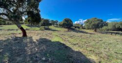 Farmhouse for sale Olbia Sardinia ref Cuncosu