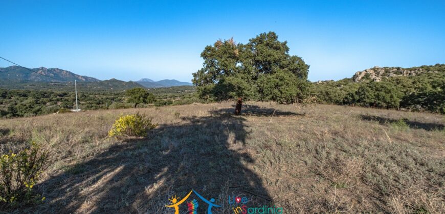 Farmhouse for sale Olbia Sardinia ref Cuncosu