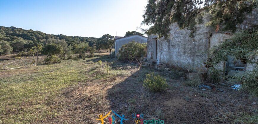 Farmhouse for sale Olbia Sardinia ref Cuncosu