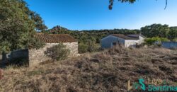 Farmhouse for sale Olbia Sardinia ref Cuncosu