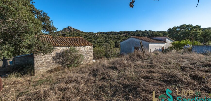 Farmhouse for sale Olbia Sardinia ref Cuncosu
