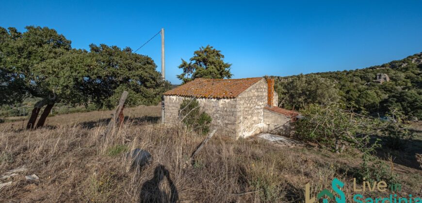 Farmhouse for sale Olbia Sardinia ref Cuncosu