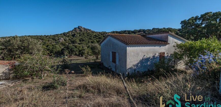 Farmhouse for sale Olbia Sardinia ref Cuncosu