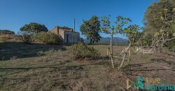 Farmhouse for sale Olbia Sardinia ref Cuncosu