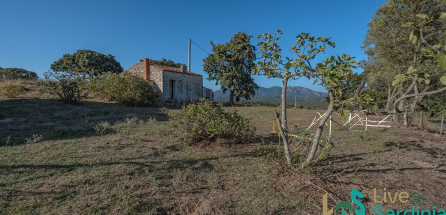 Farmhouse for sale Olbia Sardinia ref Cuncosu