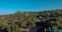 Farmhouse for sale Olbia Sardinia ref Cuncosu