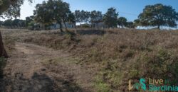 Farmhouse for sale Olbia Sardinia ref Cuncosu